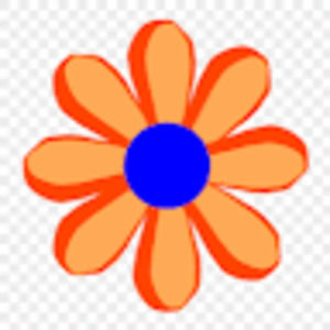 Meet your Posher, Mollie